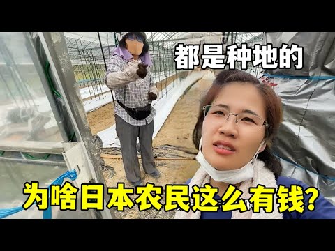 郑钦文女单,输球,斯维亚特克,227皇冠,227皇冠体育,227Crown,227皇冠体育官网