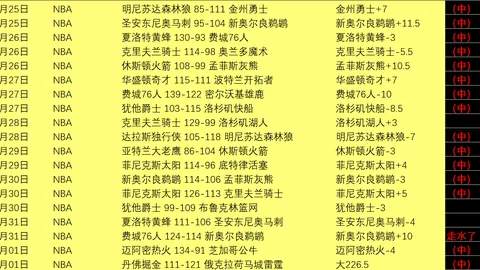 “判罚引热议：船记关注马克·戴维斯争议判罚，期待官方报告揭晓”