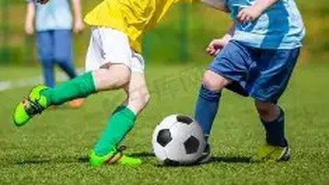 携手前行，共筑繁荣、情谊、美好未来之路